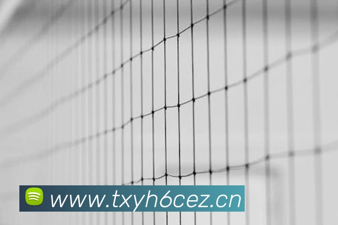 九游官方登录入口平台生态图